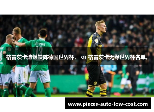 格雷茨卡遗憾缺阵德国世界杯， or 格雷茨卡无缘世界杯名单。